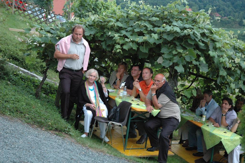 Ferienwohnungen Soravia Gamlitz Pokój zdjęcie